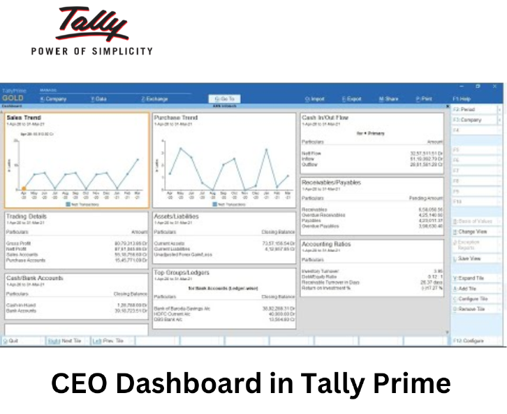 ceo dashboard in tally for real time business insights